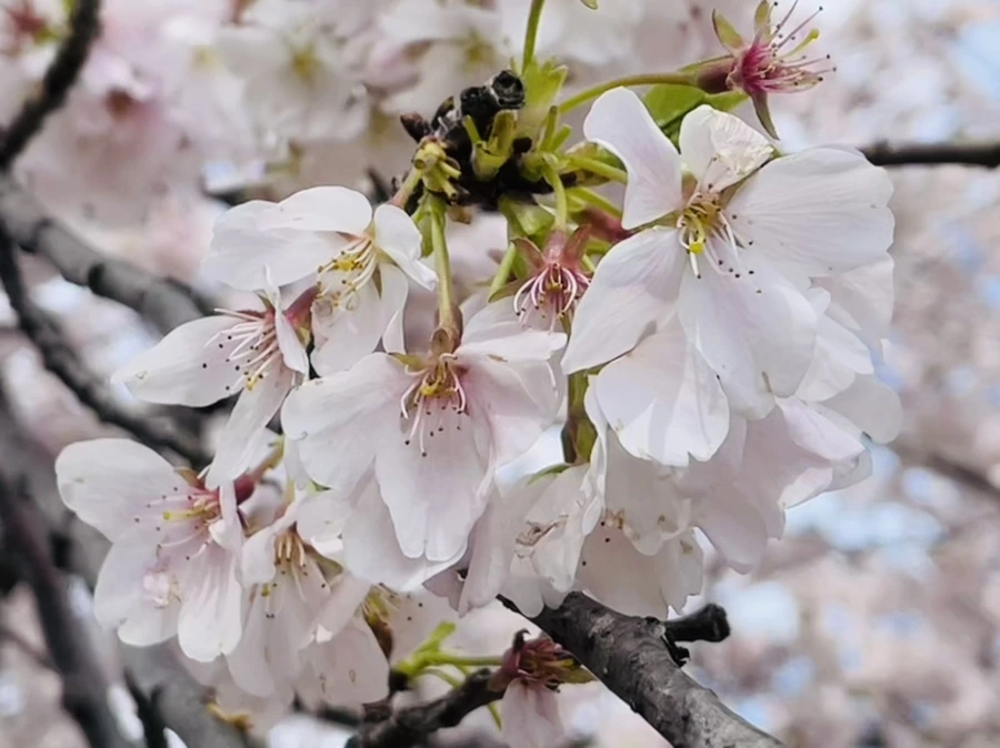 IMG_9818.jpg?type=w966