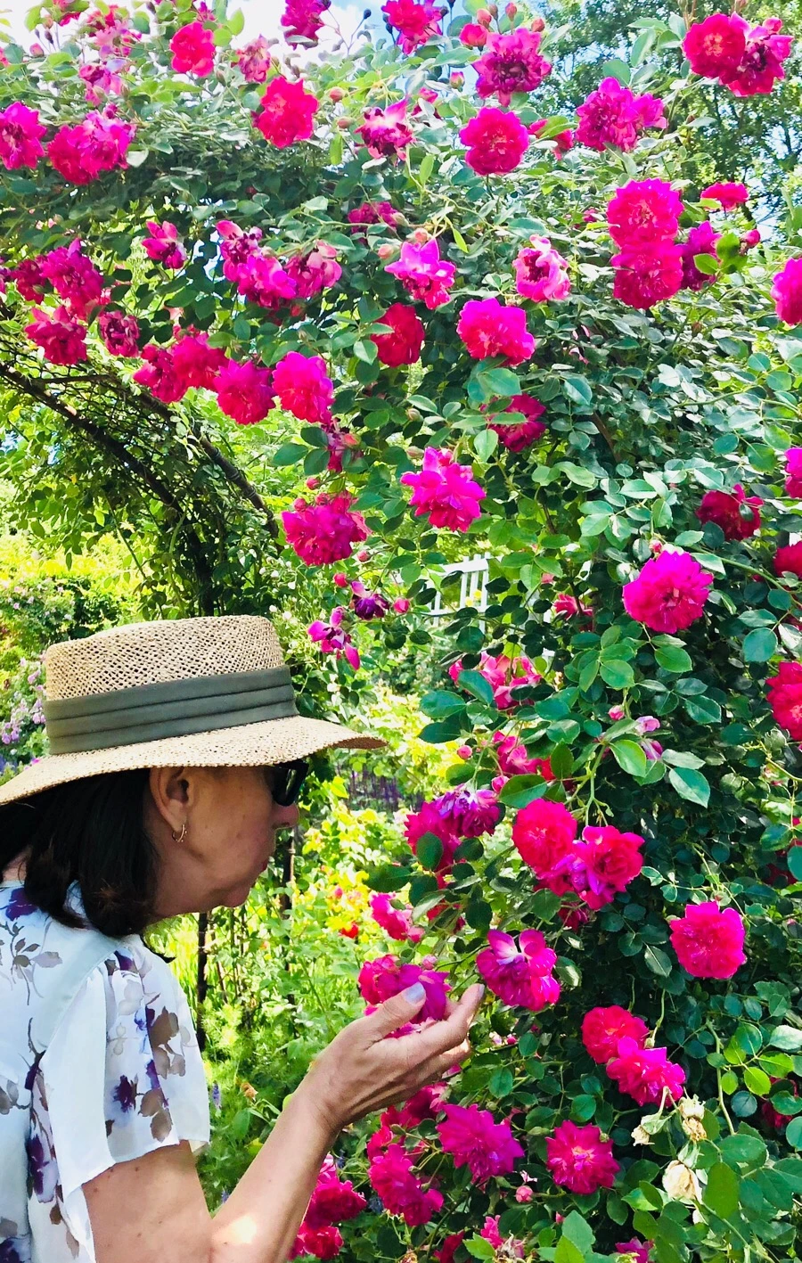 IMG_7782.jpg?type=w966