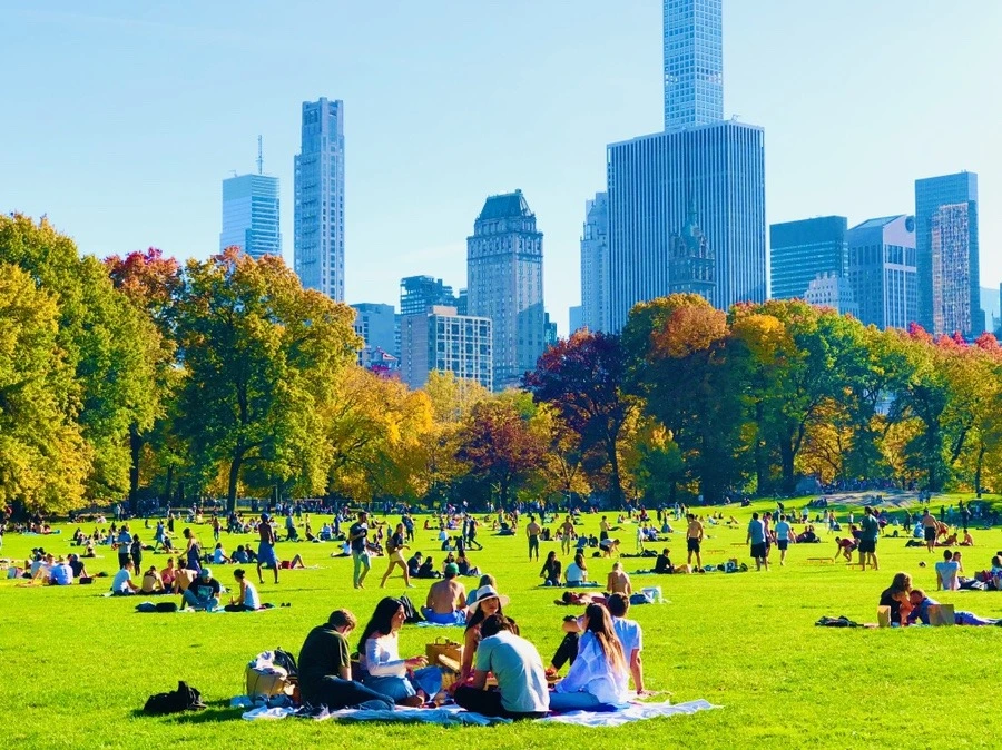 AXiz3J3qS3pS9erXHp_Jlw49480