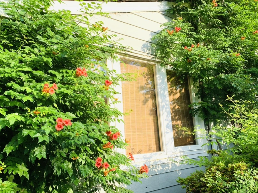 IMG_5837.jpg?type=w966