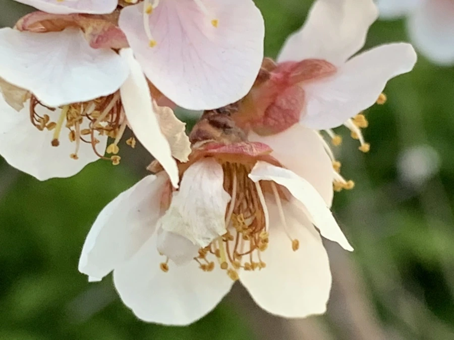 IMG_2814.jpg?type=w966