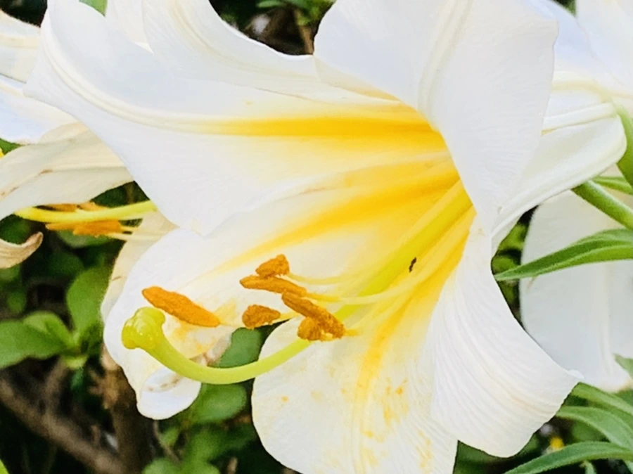 IMG_5934.jpg?type=w966