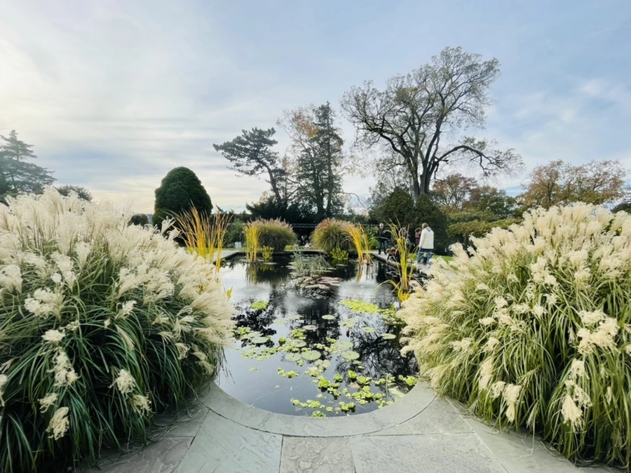 IMG_0377.jpg?type=w966