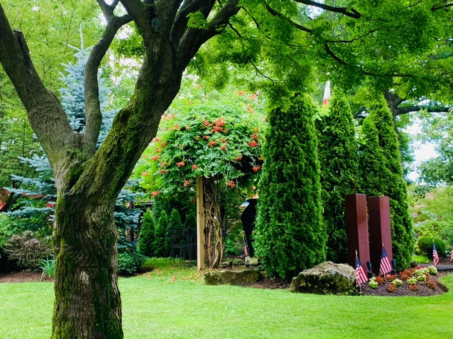 IMG_9031.jpg?type=w966