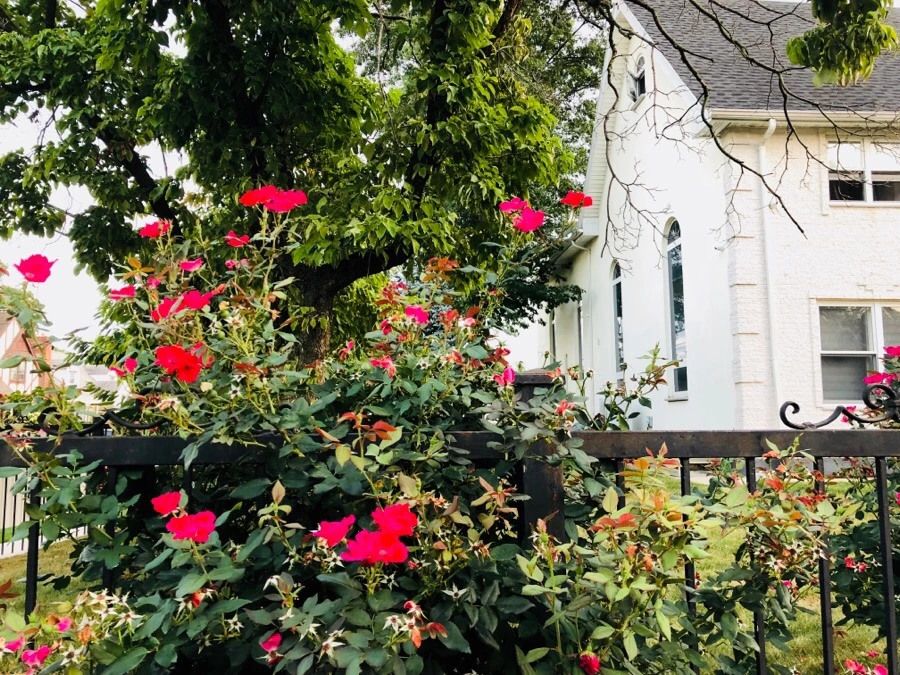 IMG_3941.jpg?type=w966