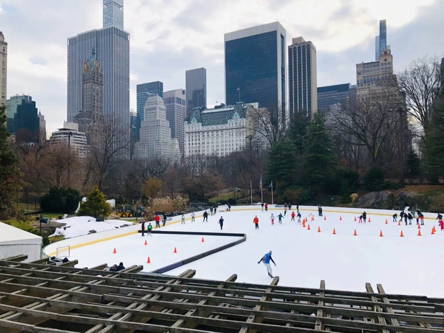 IMG_2436.jpg?type=w966