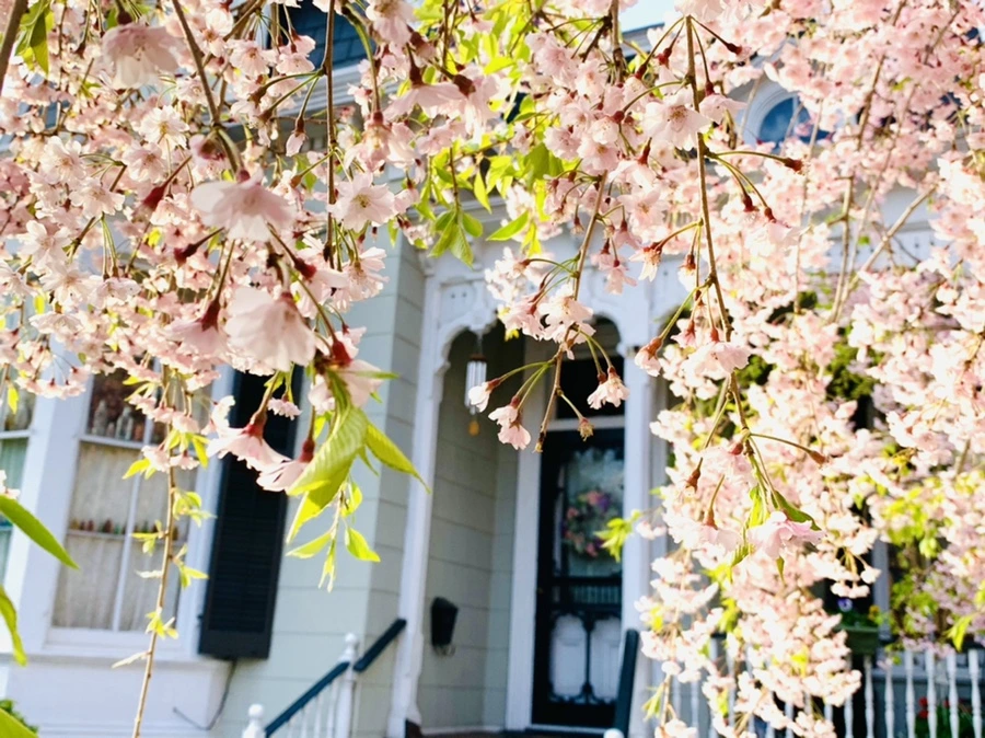 IMG_3736.jpg?type=w966