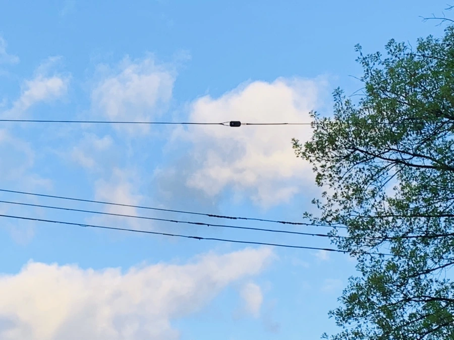 IMG_7613.jpg?type=w966