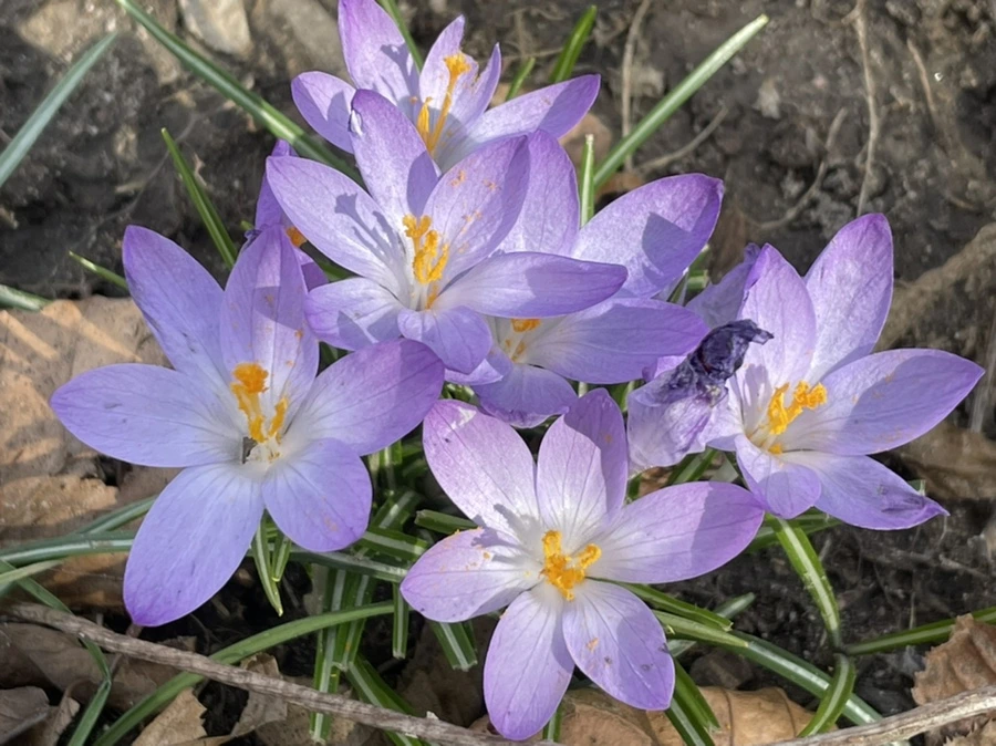 IMG_5343.jpg?type=w966