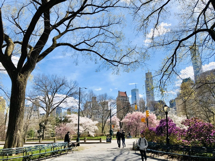 IMG_6891.jpg?type=w966