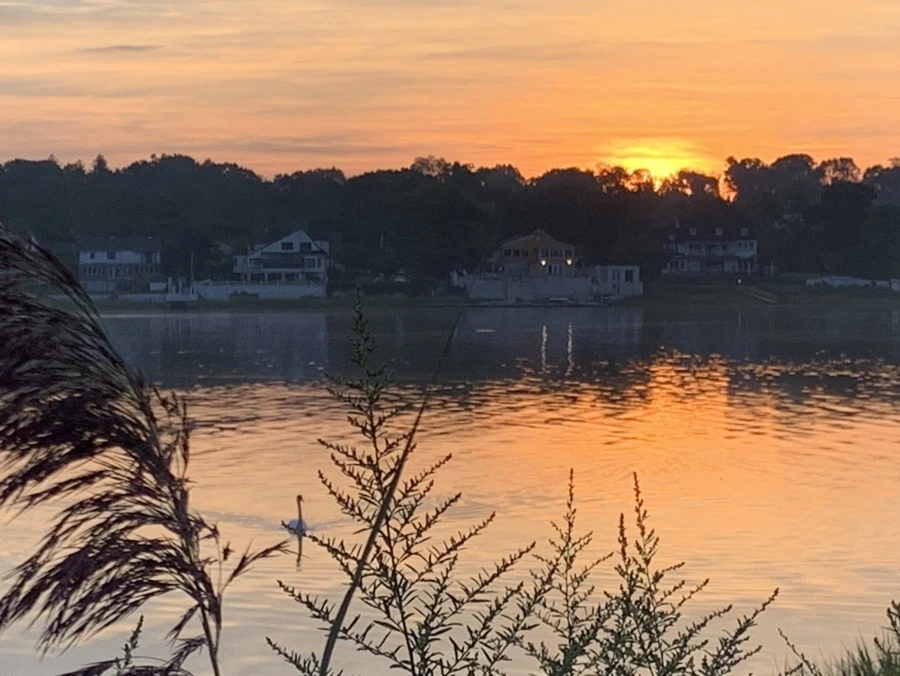 IMG_6816.jpg?type=w966