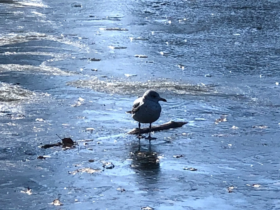 IMG_6582.jpg?type=w966