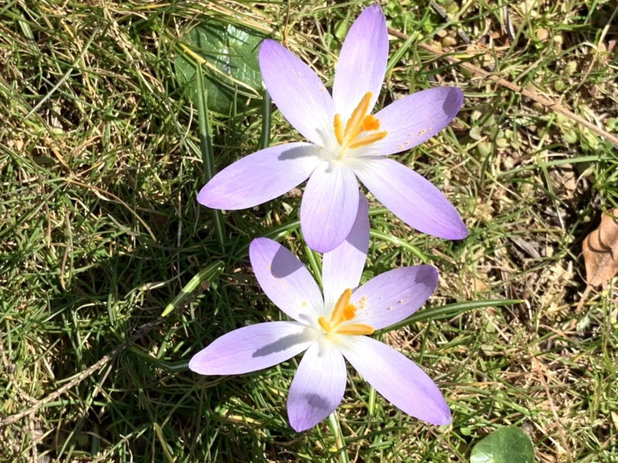 IMG_9236.jpg?type=w966