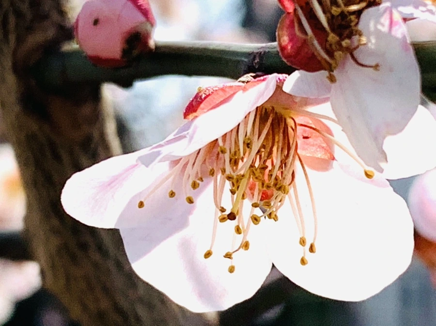 IMG_4221.jpg?type=w966