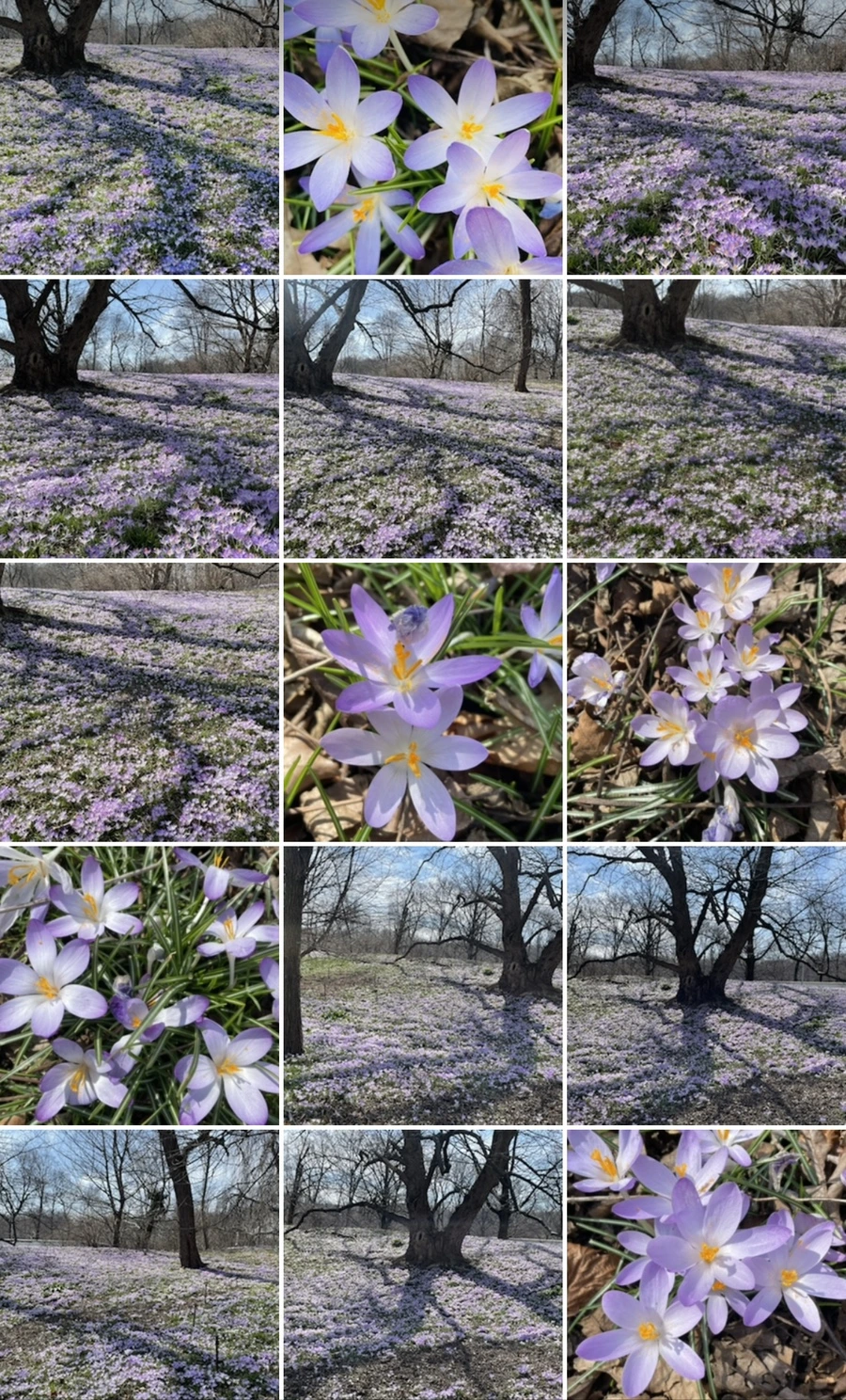 IMG_5416.jpg?type=w966