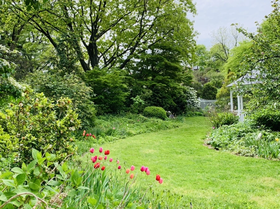 IMG_1292.jpg?type=w966