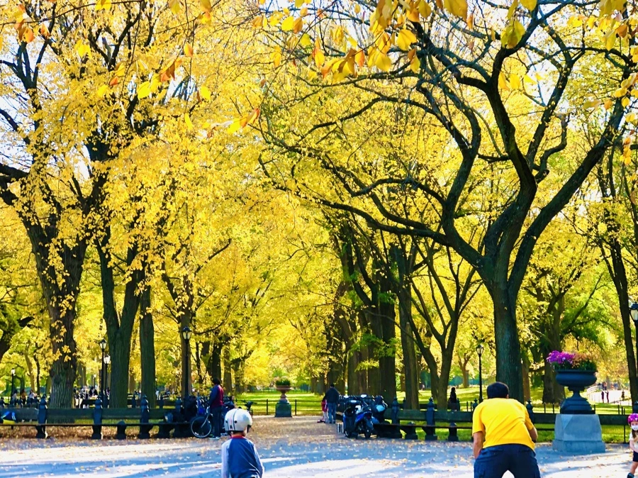 IMG_3518.jpg?type=w966