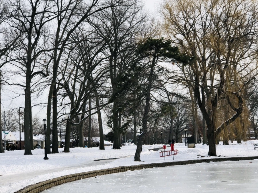 IMG_1694.jpg?type=w966