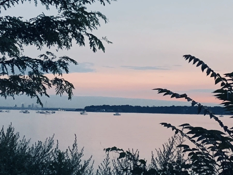 IMG_0857.jpg?type=w966