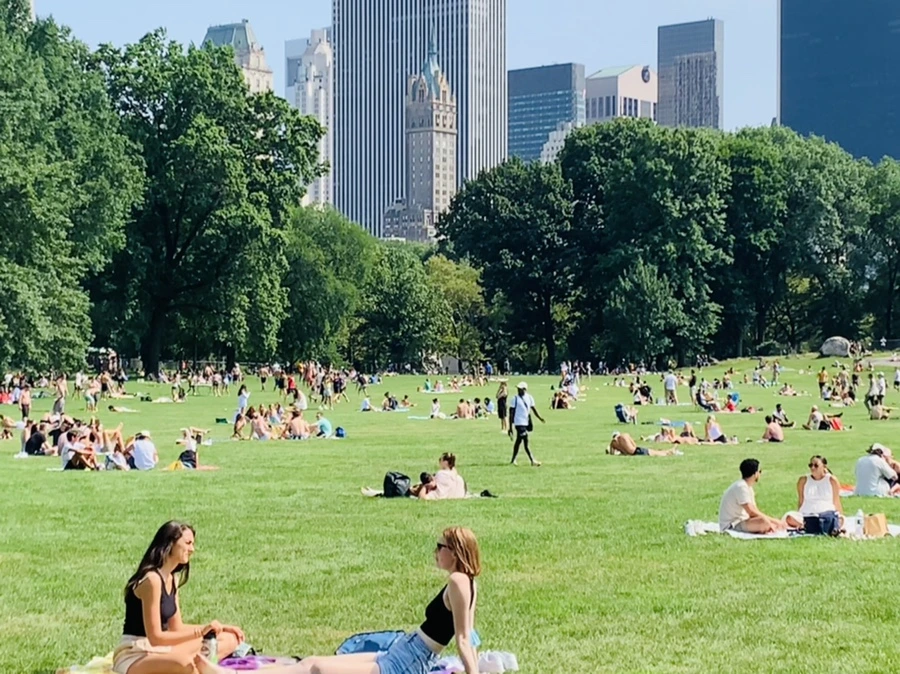 IMG_0599.jpg?type=w966