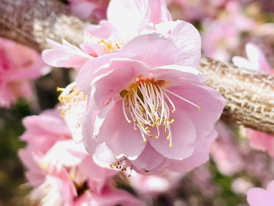 Rlv8H2Fscy_mu3lmwRmLh0ZXtjw