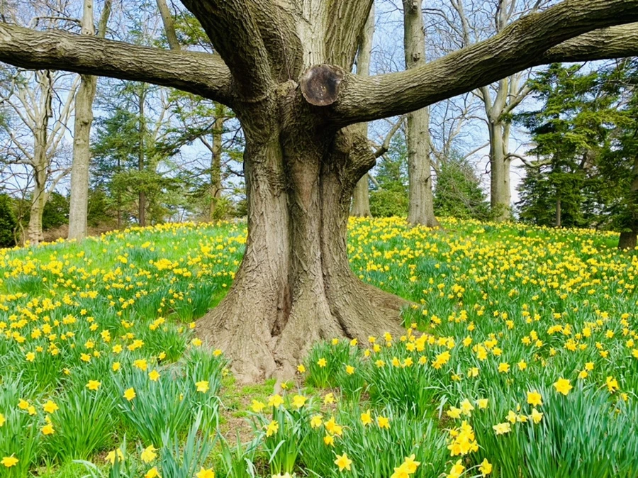 IMG_7280.jpg?type=w966