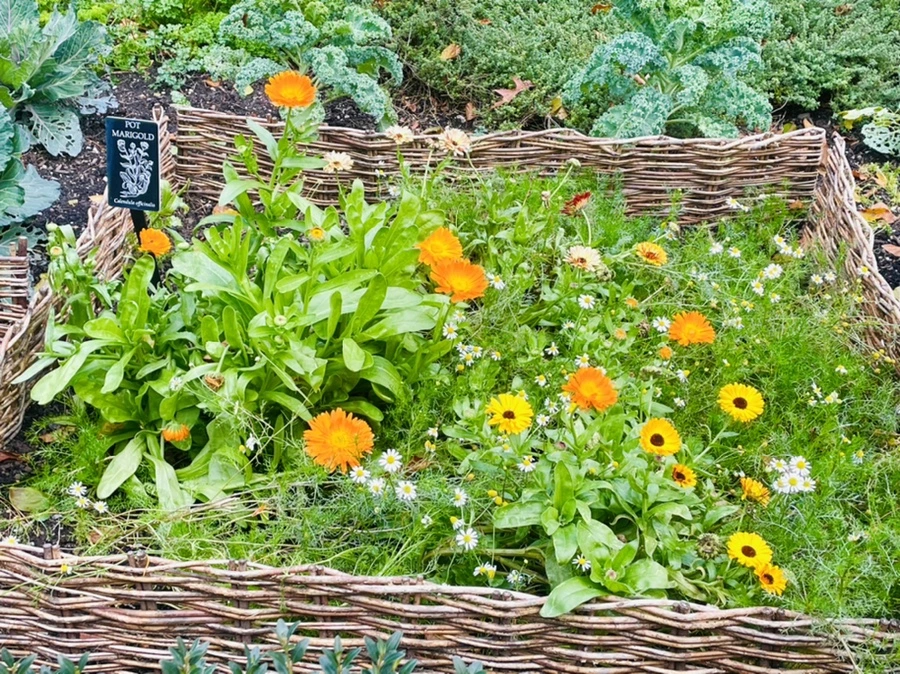 IMG_0178.jpg?type=w966