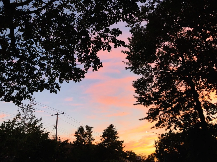 IMG_9198.jpg?type=w966