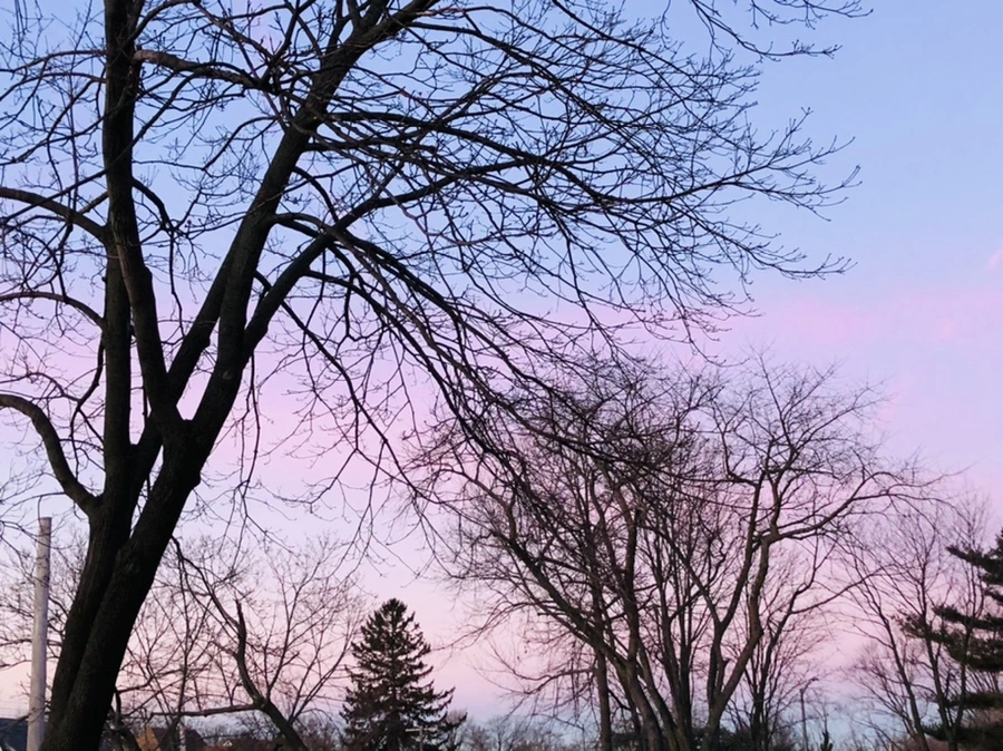 IMG_5602.jpg?type=w966