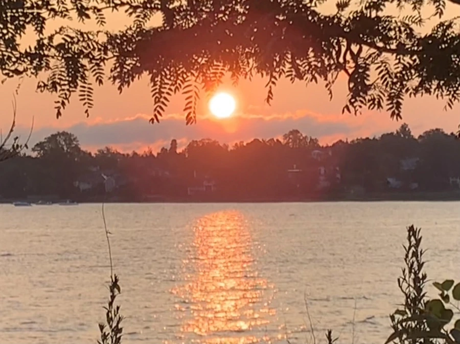 IMG_5485.jpg?type=w966