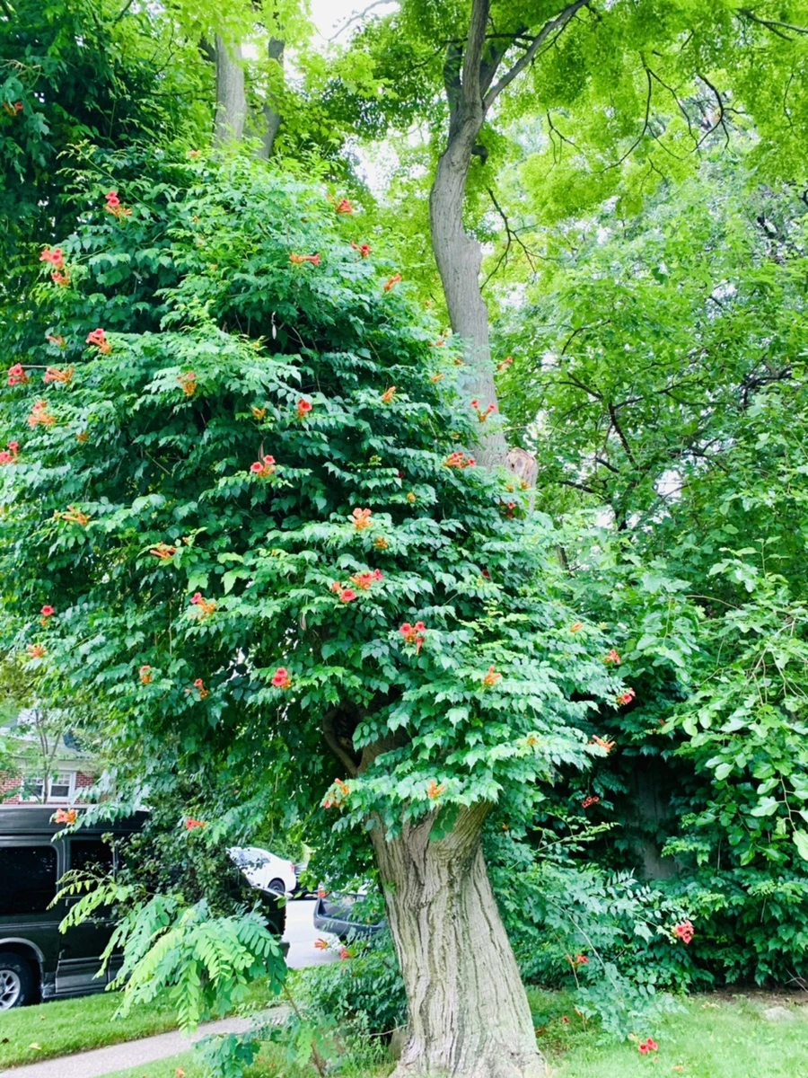 IMG_7450.jpg?type=w966