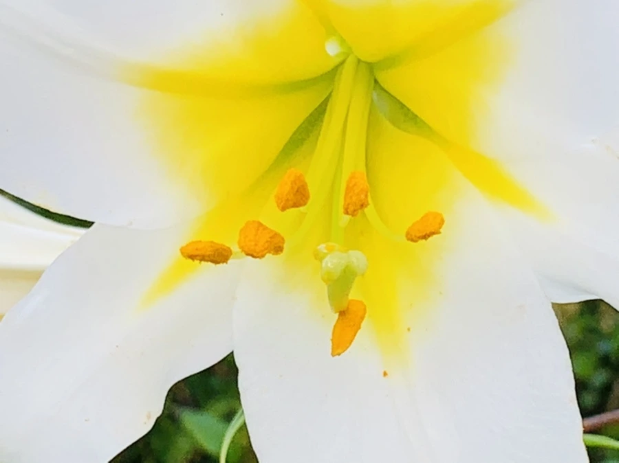 IMG_5671.jpg?type=w966