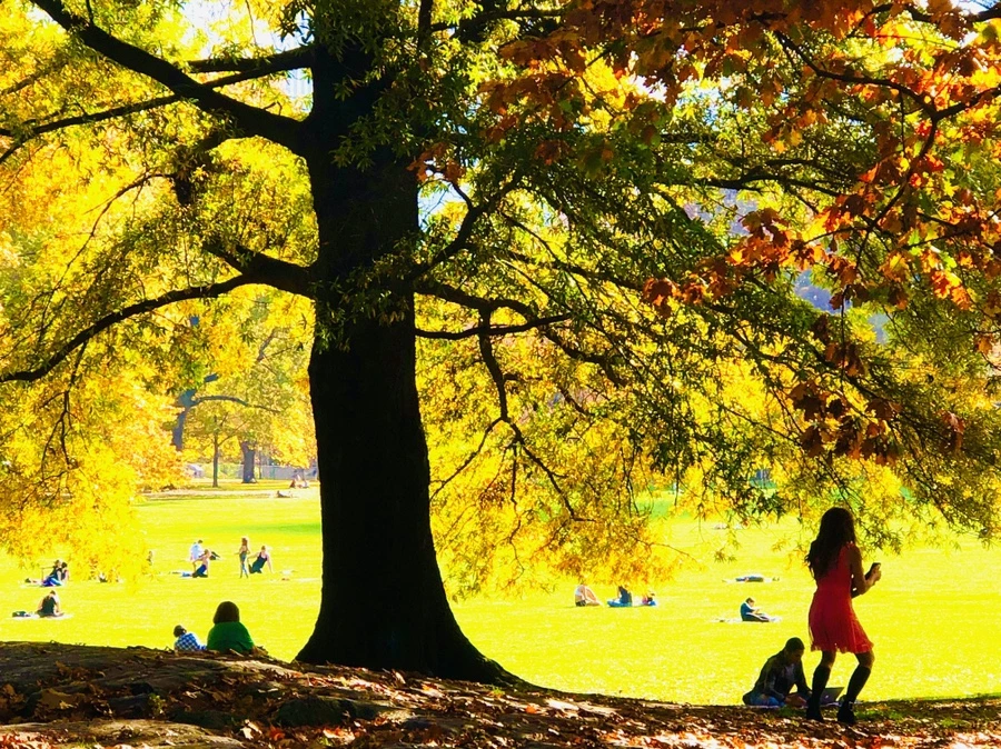 IMG_4339.jpg?type=w966