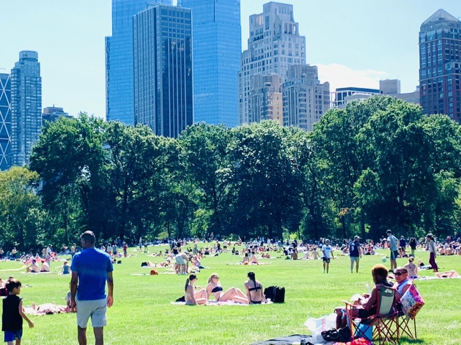 IMG_4394.jpg?type=w966