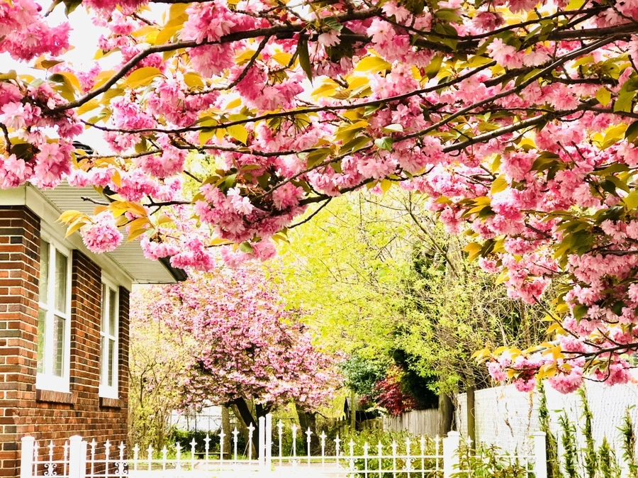 IMG_7147.jpg?type=w966