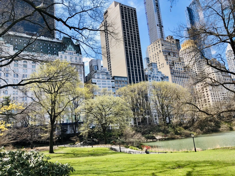 IMG_6777.jpg?type=w966