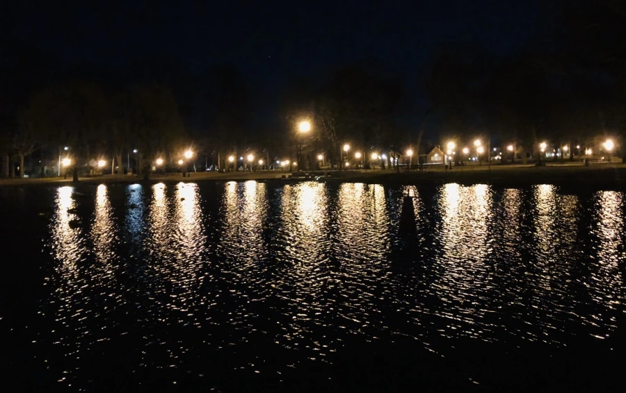 IMG_1265.jpg?type=w966