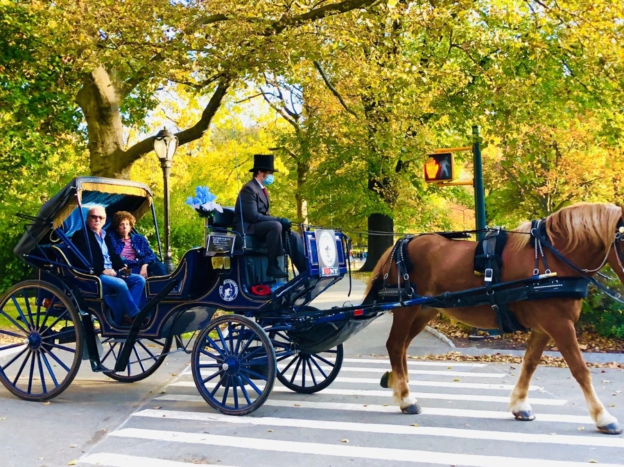 IMG_3619.jpg?type=w966