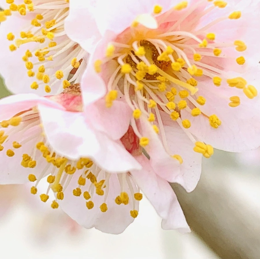 ppw_ok-4OT1kfRzWuqKNBD2NvY0