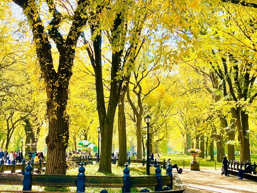 IMG_1608.jpg?type=w966