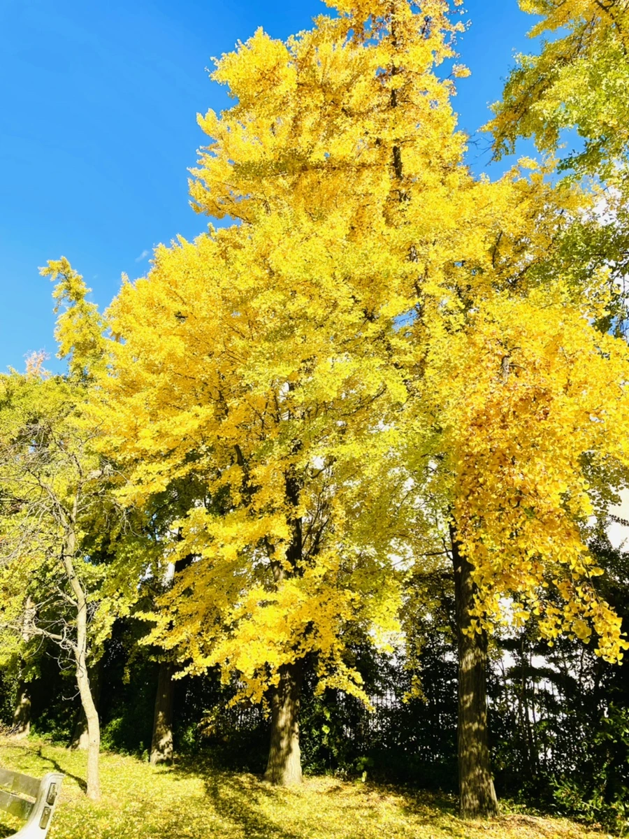 IMG_3199.jpg?type=w966