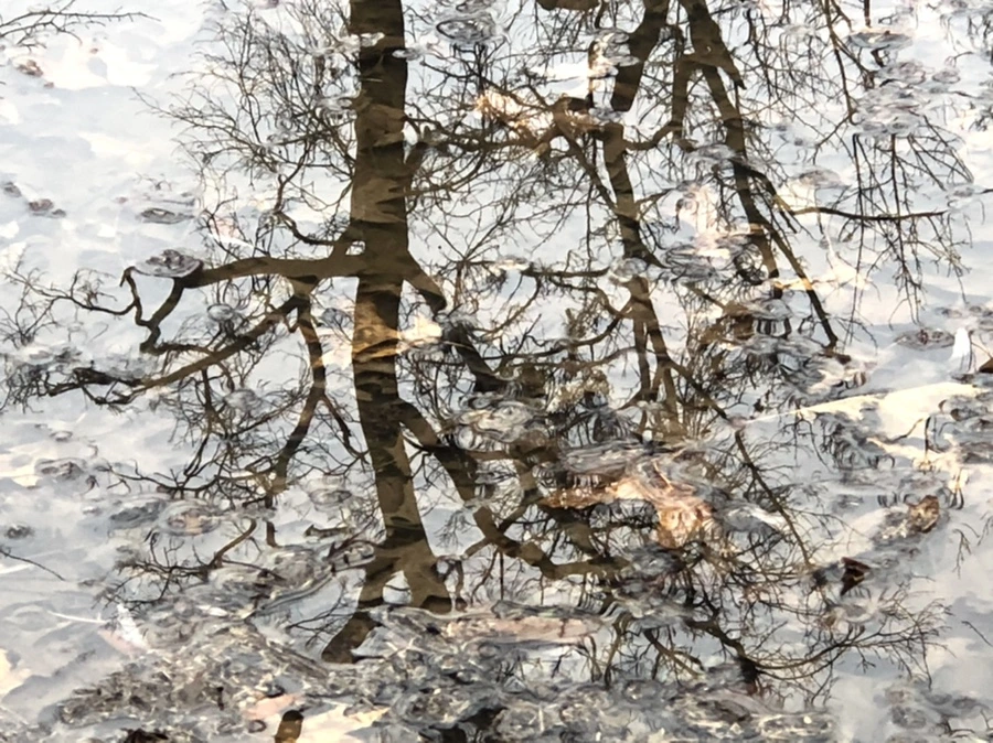 IMG_5654.jpg?type=w966