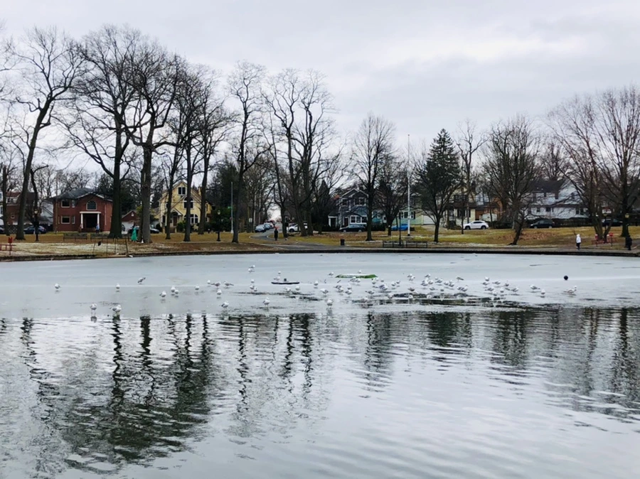 IMG_6413.jpg?type=w966