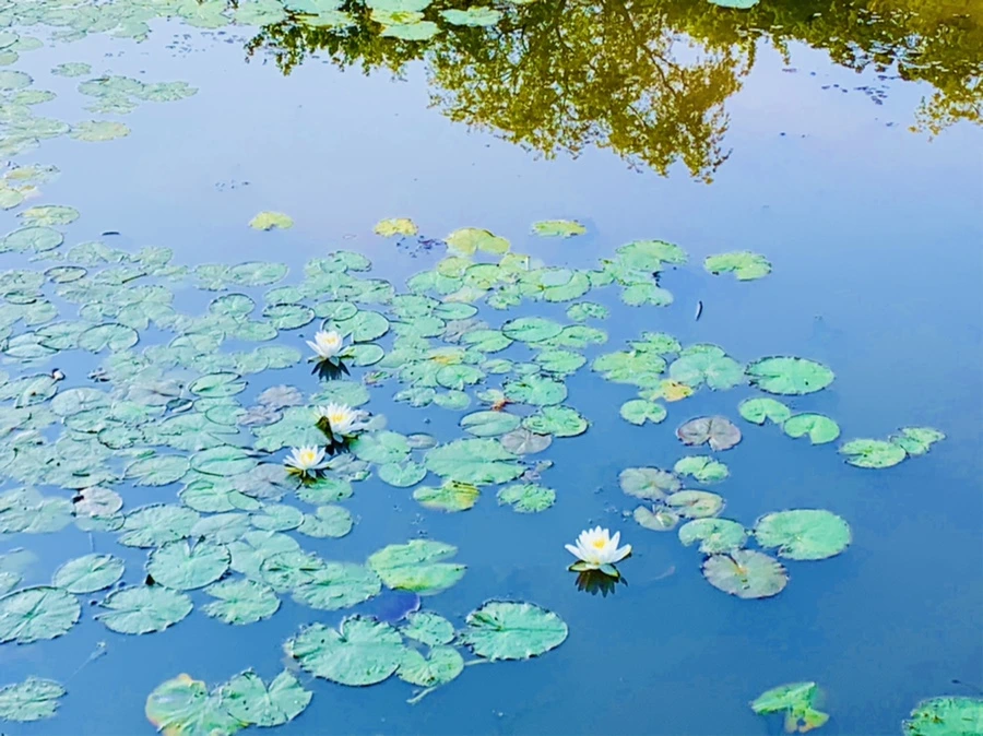 IMG_6577.jpg?type=w966