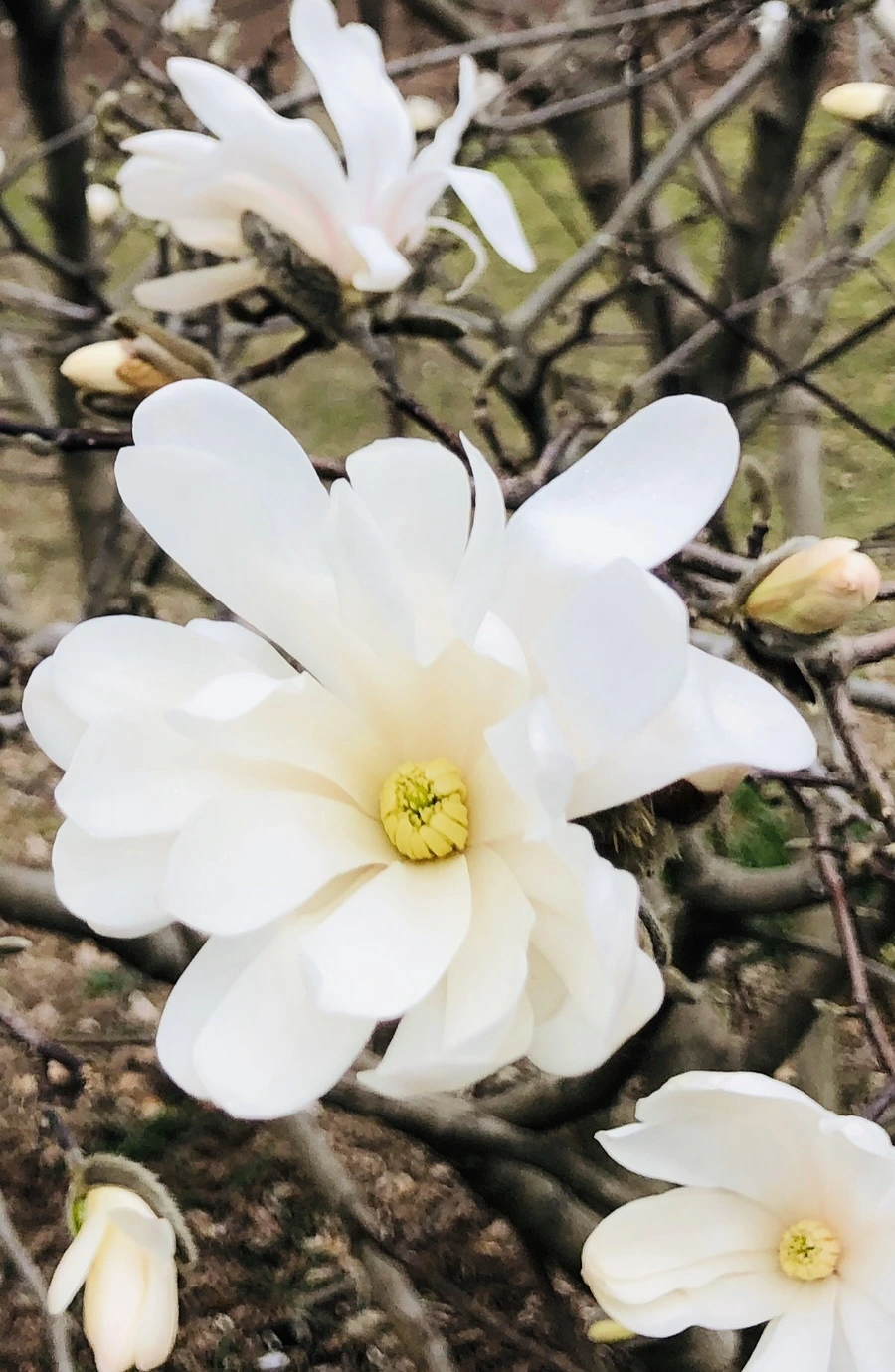 IMG_6522.jpg?type=w966