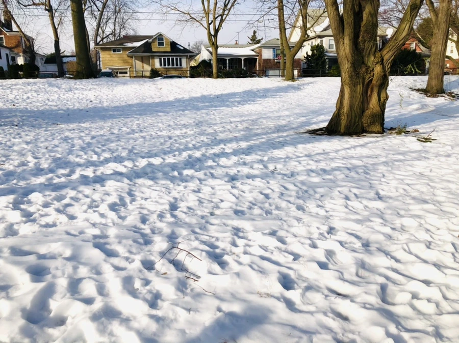 IMG_7746.jpg?type=w966