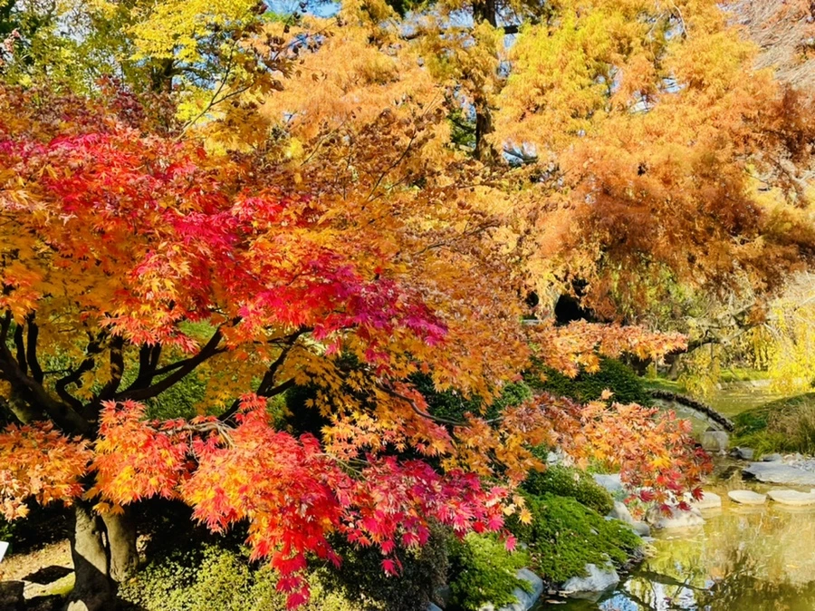 IMG_3124.jpg?type=w966