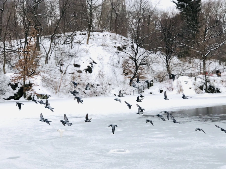 IMG_9163.jpg?type=w966