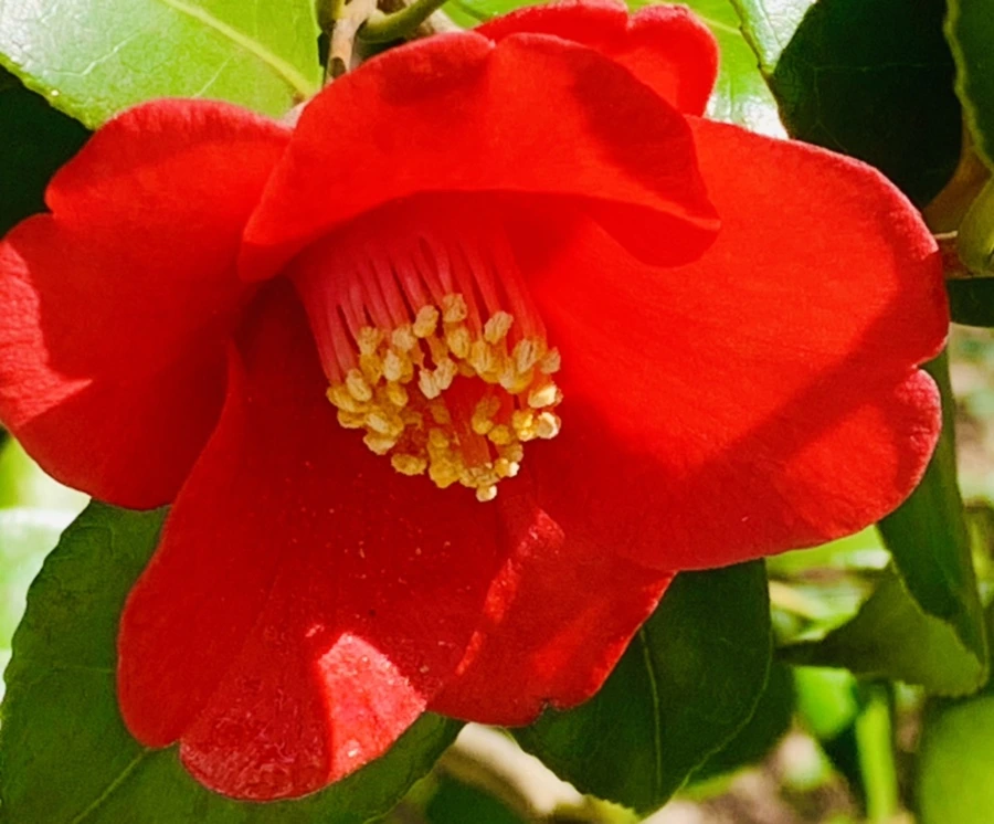 IMG_5725.jpg?type=w966