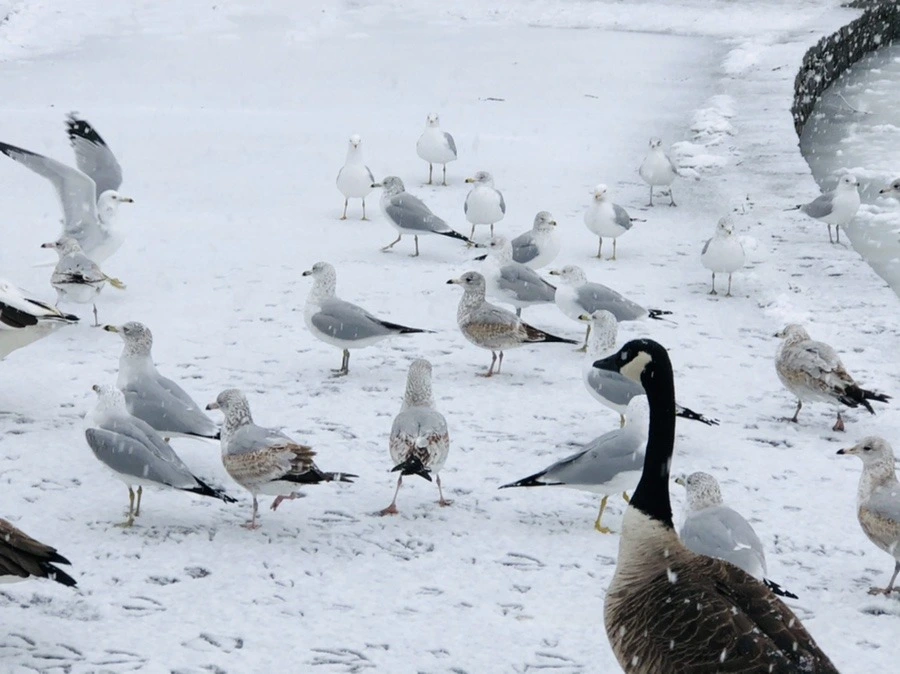 o5tii0mqfCyPusZEKouYlnNTDpo